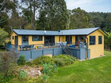 Acreage/Semi-rural For Sale - NSW - Bega - 2550 - WATERFRONT PARADISE ON 50 ACRES  (Image 2)