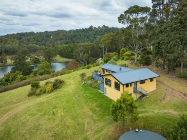 Acreage/Semi-rural For Sale - NSW - Bega - 2550 - WATERFRONT PARADISE ON 50 ACRES  (Image 2)