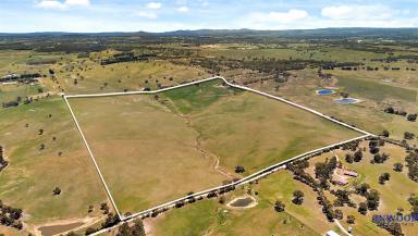 Residential Block For Sale - SA - Mount Pleasant - 5235 - 57.26 Ha of productive land with country views to the horizon, close to Mount Pleasant. Your country property awaits.  (Image 2)