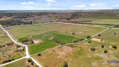 Residential Block For Sale - SA - Mount Pleasant - 5235 - 57.26 Ha of productive land with country views to the horizon, close to Mount Pleasant. Your country property awaits.  (Image 2)