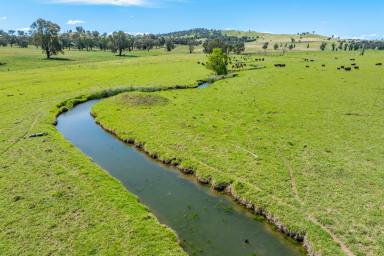 Mixed Farming For Sale - NSW - Cowra - 2794 - 233 ACRES OF HIGHLY PRODUCTIVE GRAZING AND 2.8KM OF DUAL CREEK FRONTAGE!  (Image 2)