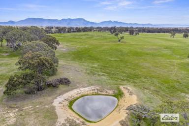 Lifestyle For Sale - VIC - Moyston - 3377 - Majestic Grampians Mountain Views - 100 Acre Grazing/Lifestyle  (Image 2)