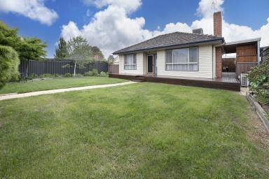 House For Sale - VIC - Swan Hill - 3585 - Cute as a button & Neat as a pin!  (Image 2)