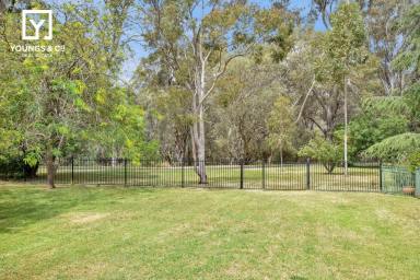 House Auction - VIC - Shepparton - 3630 - Discover Your Dream Home on Waters Road  (Image 2)