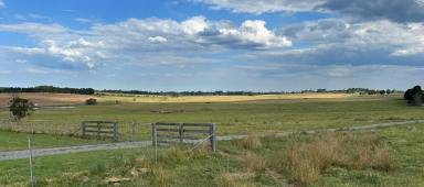 Other (Rural) For Sale - NSW - Tallong - 2579 - Highlands Country Retreat  (Image 2)