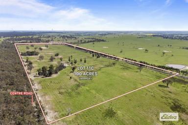 Lifestyle For Sale - VIC - Beaufort - 3373 - Well Positioned With Mountain Views - 100 Acre Lifestyle Block  (Image 2)