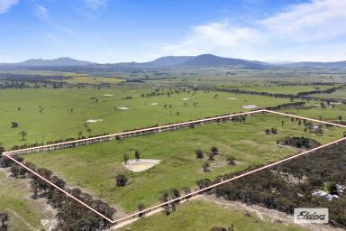 Lifestyle For Sale - VIC - Beaufort - 3373 - Well Positioned With Mountain Views - 100 Acre Lifestyle Block  (Image 2)