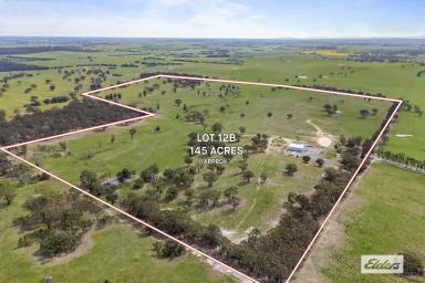 Farmlet For Sale - VIC - Beaufort - 3373 - 145 Acres Mountain Views With Large Shed  (Image 2)