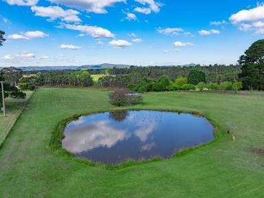 House For Sale - NSW - Wallerawang - 2845 - Serene Mountain Escape with Endless Water Supply  (Image 2)