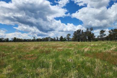 Mixed Farming For Sale - NSW - Armidale - 2350 - Perfect lifestyle farm in an ideal location  (Image 2)