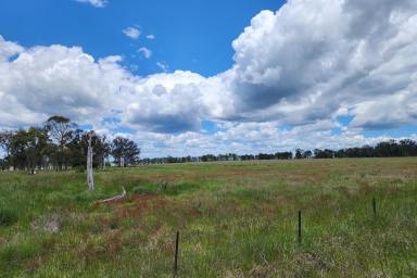 Mixed Farming For Sale - NSW - Armidale - 2350 - Perfect lifestyle farm in an ideal location  (Image 2)