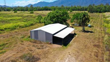 Residential Block For Sale - QLD - Kennedy - 4816 - Large Rural Block $550K  (Image 2)