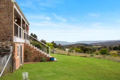 Lifestyle Auction - NSW - Goulburn - 2580 - Once In A Lifetime Opportunity!  (Image 2)