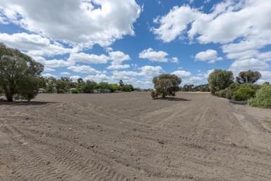 Residential Block For Sale - VIC - Horsham - 3400 - Prime Acreage in Town – Rare Opportunity!  (Image 2)