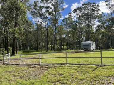 Residential Block For Sale - QLD - Bauple - 4650 - PEACE AND QUIET WITH CARAVAN PAD  (Image 2)