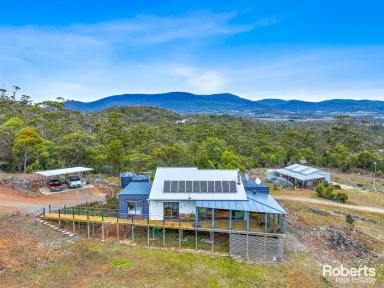 House For Sale - TAS - Bicheno - 7215 - Spectacular Off-Grid Haven  (Image 2)