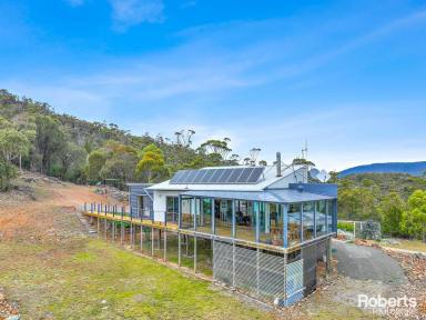 House For Sale - TAS - Bicheno - 7215 - Spectacular Off-Grid Haven  (Image 2)