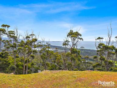 House For Sale - TAS - Bicheno - 7215 - Spectacular Off-Grid Haven  (Image 2)