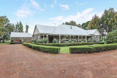 Lifestyle For Sale - VIC - Bostocks Creek - 3260 - Bluestone Beauty: A Masterpiece of Grandeur and Comfort  (Image 2)