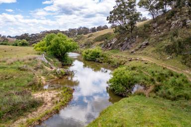 Mixed Farming For Sale - NSW - Rylstone - 2849 - Lower Darly Oak  (Image 2)