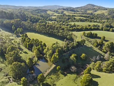 Acreage/Semi-rural For Sale - VIC - Woorarra West - 3960 - Views from the mountains to the sea (Image 2)
