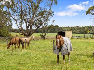 Acreage/Semi-rural For Sale - VIC - Woorarra East - 3962 - Moo Views - Comfortable living surrounded by farmland  (Image 2)