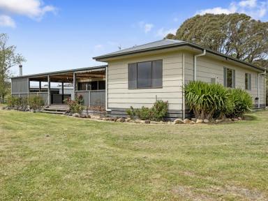 Acreage/Semi-rural For Sale - VIC - Woorarra East - 3962 - Moo Views - Comfortable living surrounded by farmland  (Image 2)