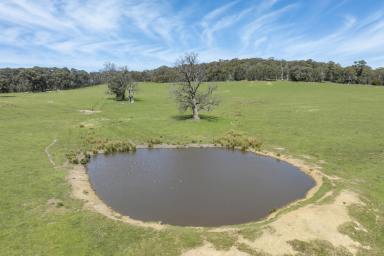 Other (Rural) For Sale - VIC - Boho South - 3669 - Expressions of Interest - Close 2nd Dec at 12.00 Noon
Strathbogie Tablelands - "Mandorla" - 290ac (117.35ha) of High-Country Grazing  (Image 2)