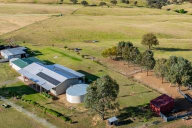 Lifestyle For Sale - NSW - Canowindra - 2804 - Immaculate country home set on 44acres and exceptional views!  (Image 2)