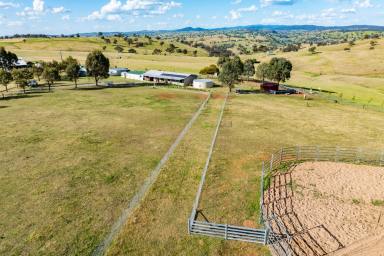 Lifestyle For Sale - NSW - Canowindra - 2804 - Immaculate country home set on 44acres and exceptional views!  (Image 2)