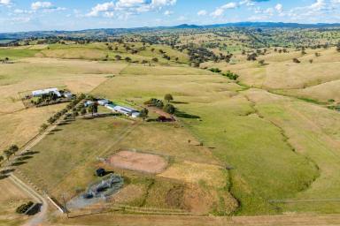 Lifestyle For Sale - NSW - Canowindra - 2804 - Immaculate country home set on 44acres and exceptional views!  (Image 2)