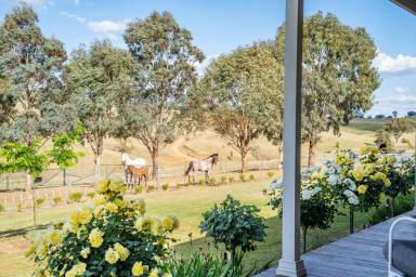 Lifestyle For Sale - NSW - Canowindra - 2804 - Immaculate country home set on 44acres and exceptional views!  (Image 2)