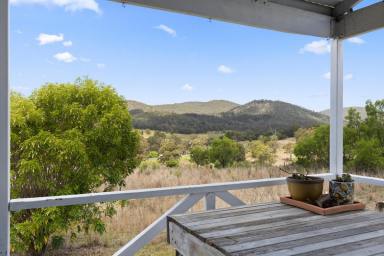 Livestock For Sale - QLD - West Haldon - 4359 - "Roena"  (Image 2)