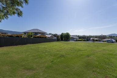 Residential Block For Sale - NSW - Bomaderry - 2541 - Huge block in Quiet Neighbourhood  (Image 2)