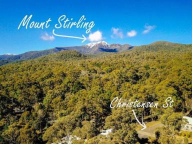 Residential Block For Sale - VIC - Sawmill Settlement - 3723 - Large North-Facing Alpine Building Block  (Image 2)