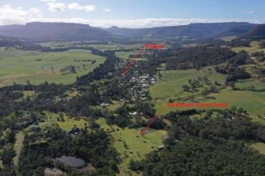 Lifestyle For Sale - NSW - Kangaroo Valley - 2577 - Location, wildlife and lifestyle sanctuary with options for a bargain!  (Image 2)