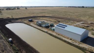 Other (Rural) For Sale - VIC - Kerang East - 3579 - 103 Ha (255 Acres) of Prime Irrigation Farming Land  (Image 2)