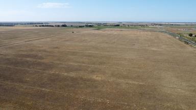 Other (Rural) For Sale - VIC - Kerang East - 3579 - 103 Ha (255 Acres) of Prime Irrigation Farming Land  (Image 2)