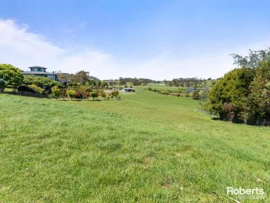 Residential Block For Sale - TAS - Sheffield - 7306 - Stunning Views Await Your Dream home on 1972m2  (Image 2)