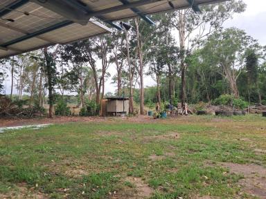 Residential Block For Sale - QLD - Ellerbeck - 4816 - Rural Lifestyle Opportunity near Cardwell!!  (Image 2)