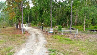 Residential Block For Sale - QLD - Ellerbeck - 4816 - Rural Lifestyle Opportunity near Cardwell!!  (Image 2)