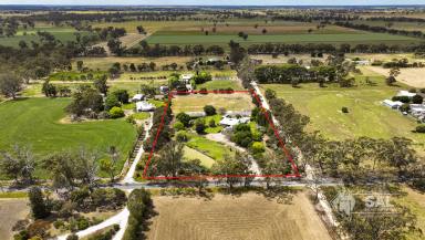 Acreage/Semi-rural For Sale - SA - Mundulla - 5270 - Curlew Park - Exquisite Lifestyle Acreage  (Image 2)