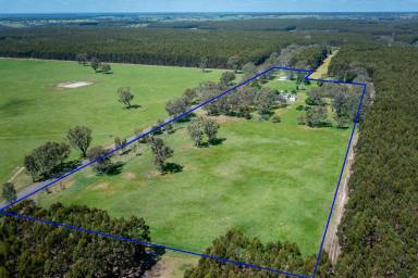 Lifestyle For Sale - VIC - Kadnook - 3318 - Beautiful views over farmland and bluegums  (Image 2)