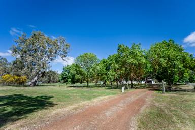 Lifestyle For Sale - VIC - Kadnook - 3318 - Beautiful views over farmland and bluegums  (Image 2)