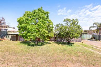 House For Sale - WA - Swan View - 6056 - Come Live Among The Gum Trees !!!  (Image 2)