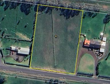 Residential Block For Sale - VIC - Hamilton - 3300 - Rural Lifestyle block on edge of Hamilton  (Image 2)