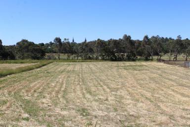 Residential Block For Sale - VIC - Hamilton - 3300 - Rural Lifestyle block on edge of Hamilton  (Image 2)