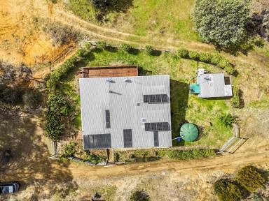 House For Lease - TAS - Wattle Hill - 7172 - Discover Your Off-Grid Sanctuary at 1392 Nugent Road, Wattle Hill  (Image 2)