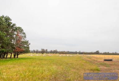 Cropping For Sale - WA - Mokup - 6394 - PRODUCTIVE ACREAGE!  (Image 2)