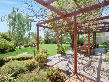 House Sold - VIC - Omeo - 3898 - START DREAMING OF COUNTRY TOWN LIVING  (Image 2)
